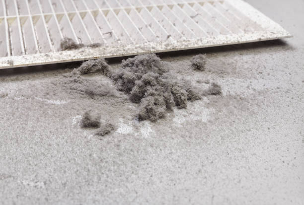 Best Air Duct Mold Removal  in Rosedale, LA